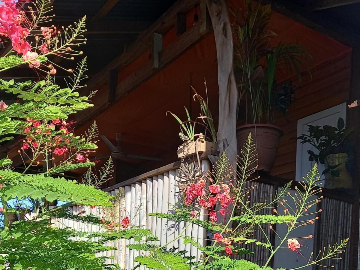 Casa Lumiere Apartment Bocas del Toro Exterior photo