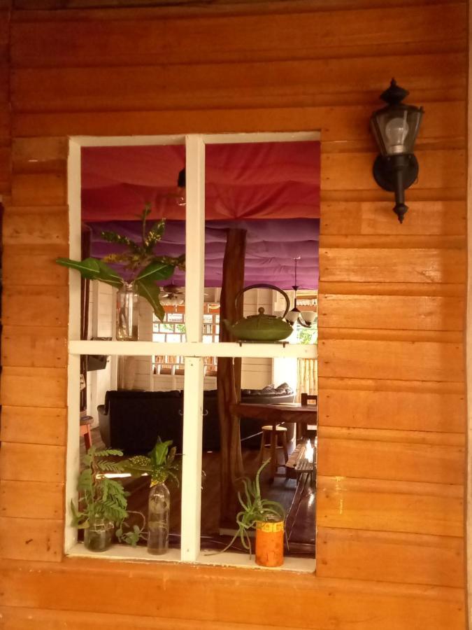 Casa Lumiere Apartment Bocas del Toro Exterior photo